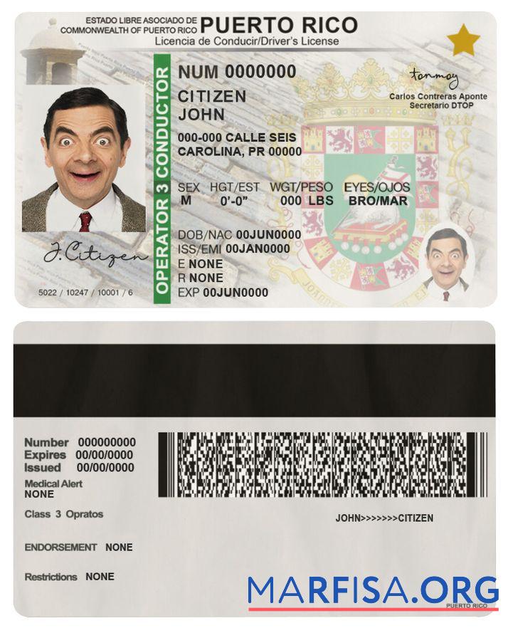 Printable Puerto Rico driving license download for verification